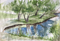 lake and
                            trees