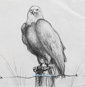 eagle