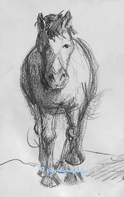horse