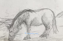 horse