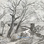 scene